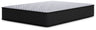 Anniversary Edition Plush - Mattress
