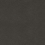 Sultan Meadow - Carbon - 2-Piece Reclining Sectional