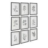 Farmhouse Florals - Framed Prints, Set Of 9 - Black