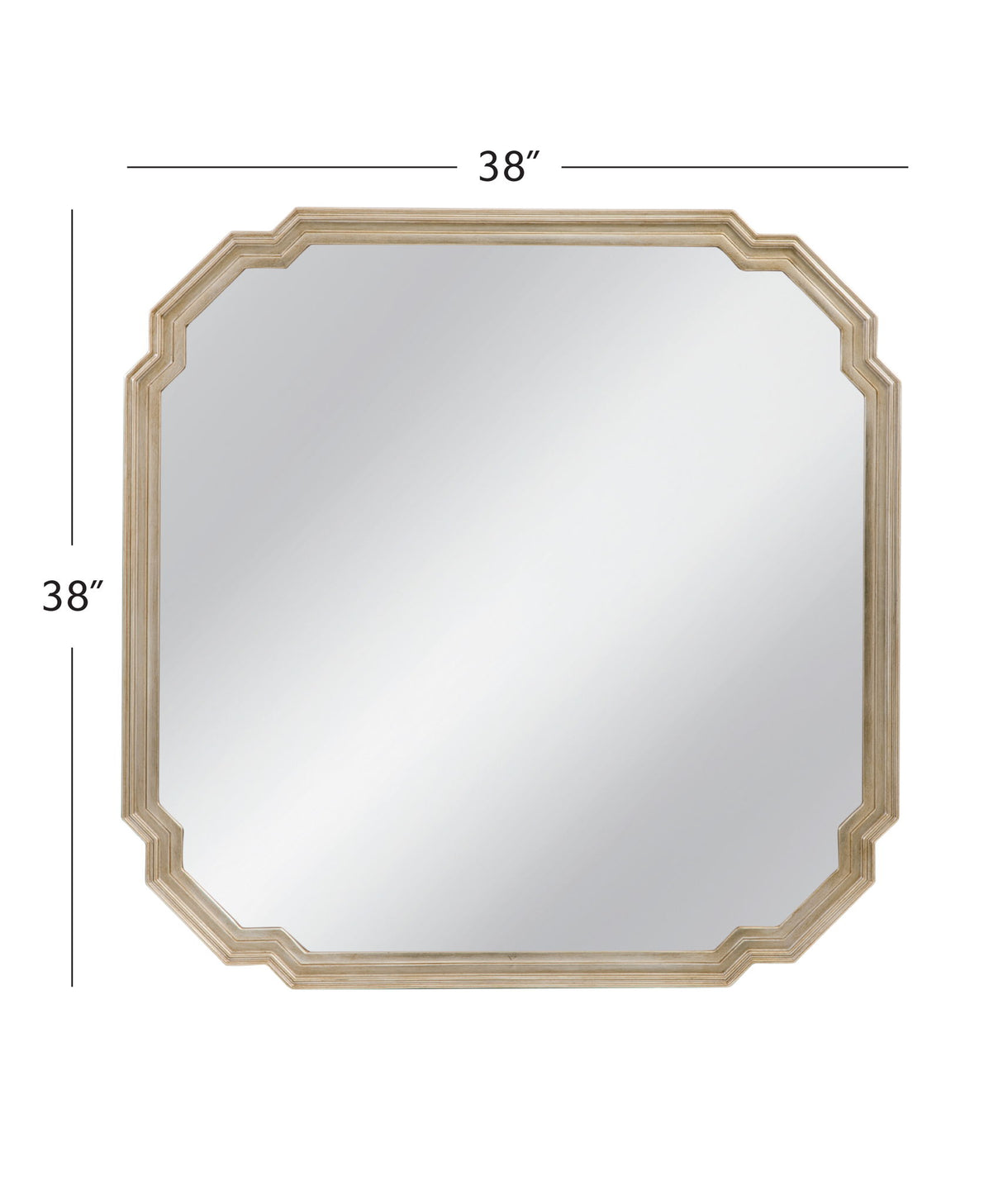 Mimosa - Wall Mirror - Ant Silver Leaf