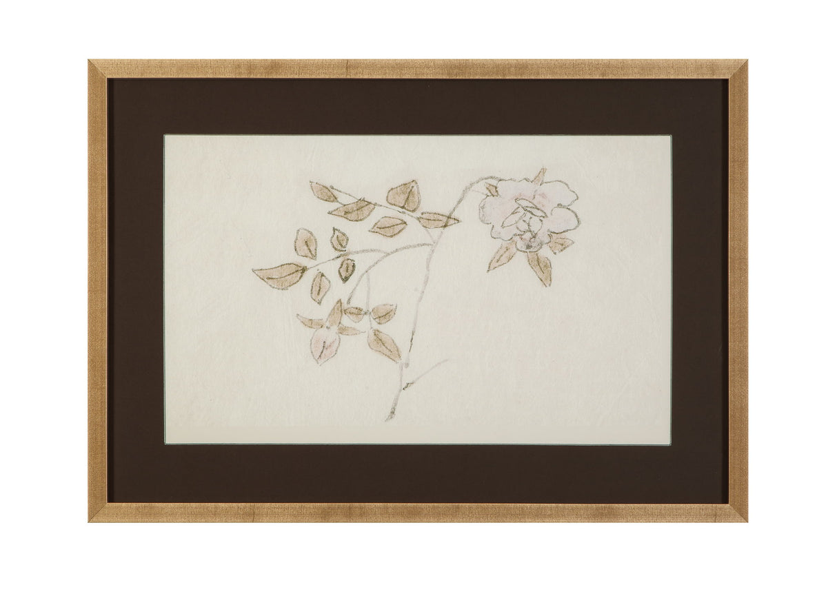 Delicate Rose II Framed Print - Cream