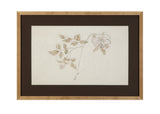 Delicate Rose II Framed Print - Cream