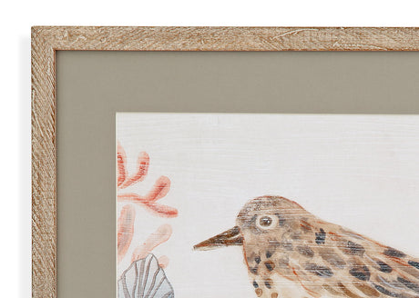 Shell Peppers II Framed Print - White