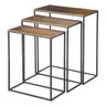 Coreene - Iron Nesting Tables (Set of 3)