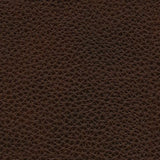 Alessandro - PWR Recliner/Adj Headrest - Walnut