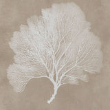 Hendridge - Wall Art Set (Set of 3) - Taupe / White