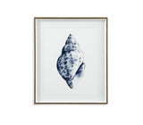 Quiet Conchin Indigo II Framed Print - Blue
