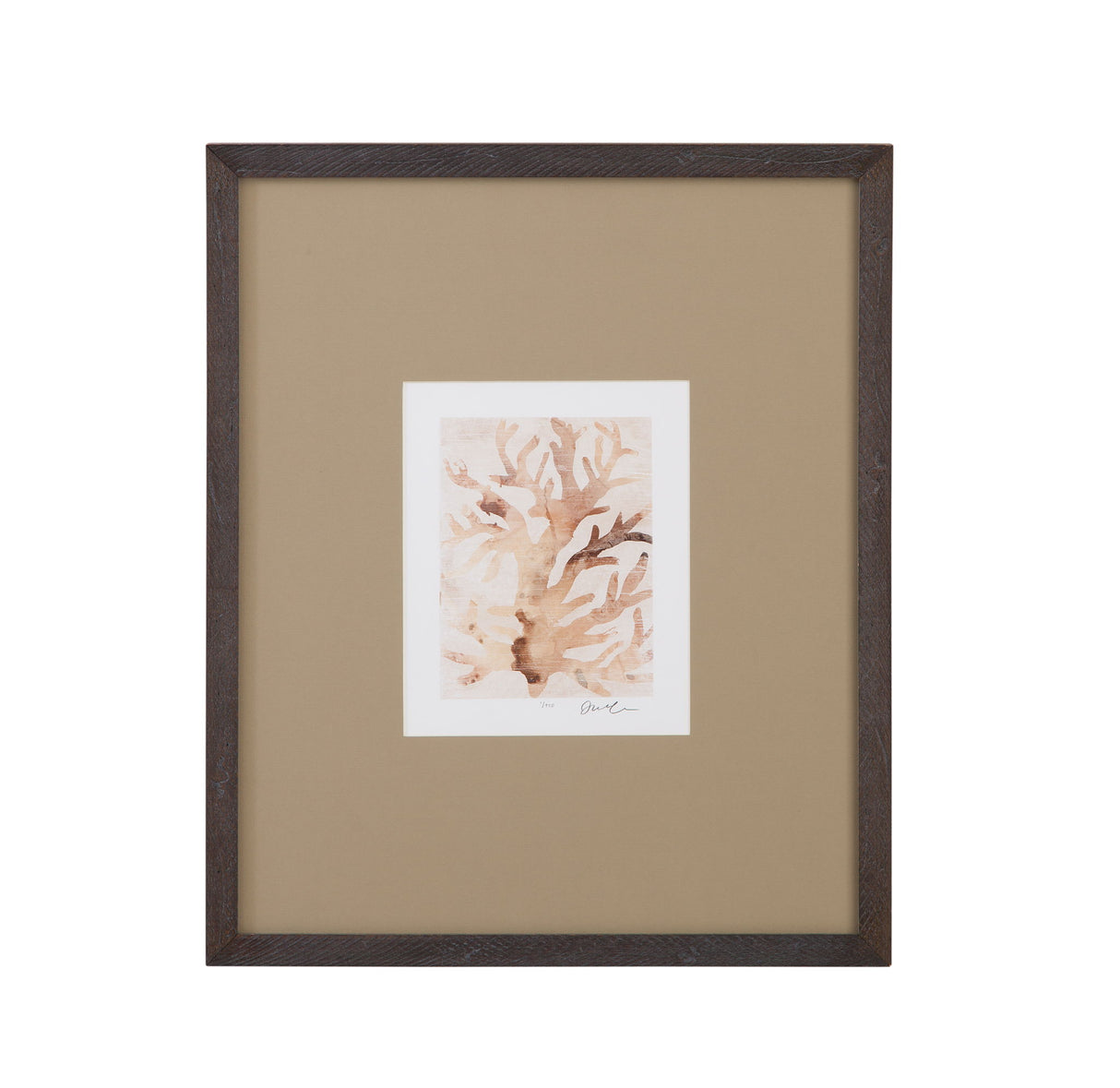 Parchment Coral III Framed Print - Brown