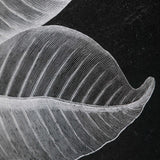 Foliage - Framed Prints, Set Of 6 - Black