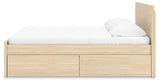 Onita - Panel Platform Bed