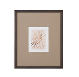Parchment Coral - II Framed Print - Brown