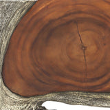 Jungle - Wood Paneled Wall Art (Set of 9)