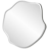 Curiosity - Organic Mirror