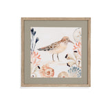 Shell Peppers III Framed Print - White