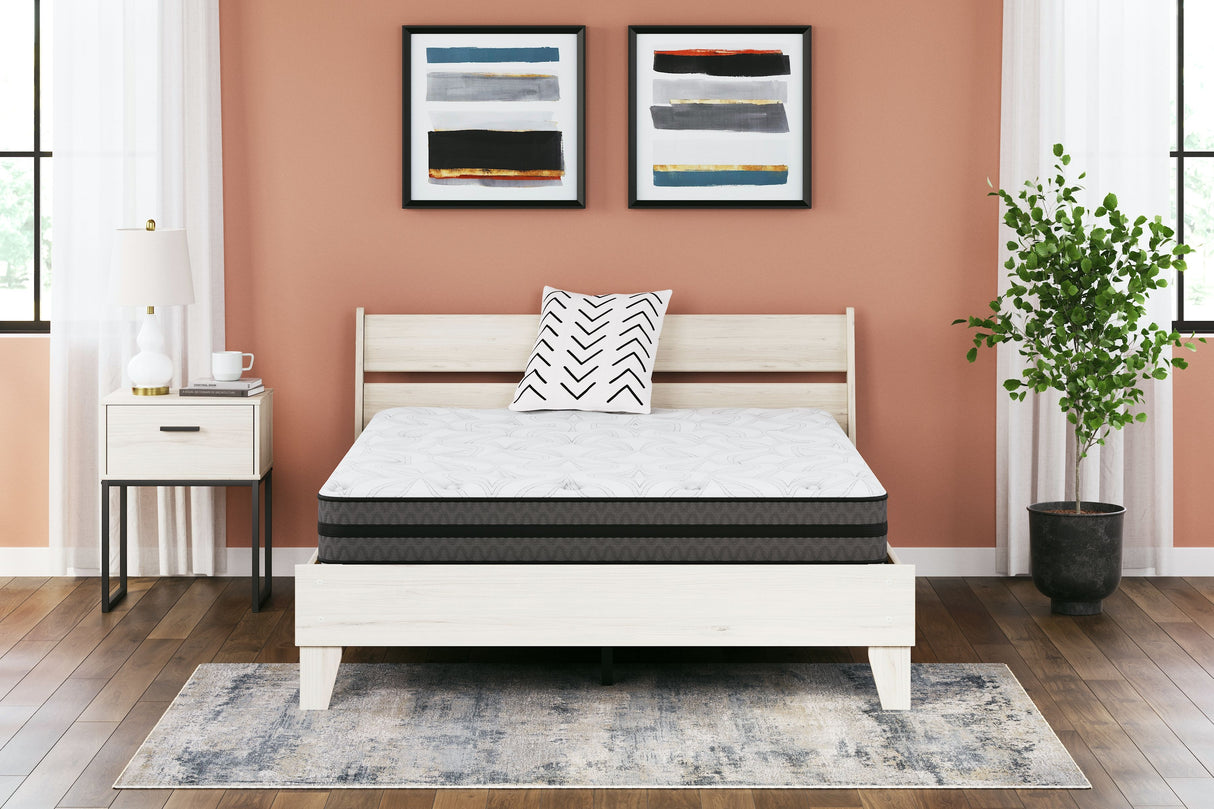 10 Inch Pocketed Hybrid - Medium Mattress