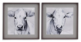Sweet Face I - Framed Print - Gray