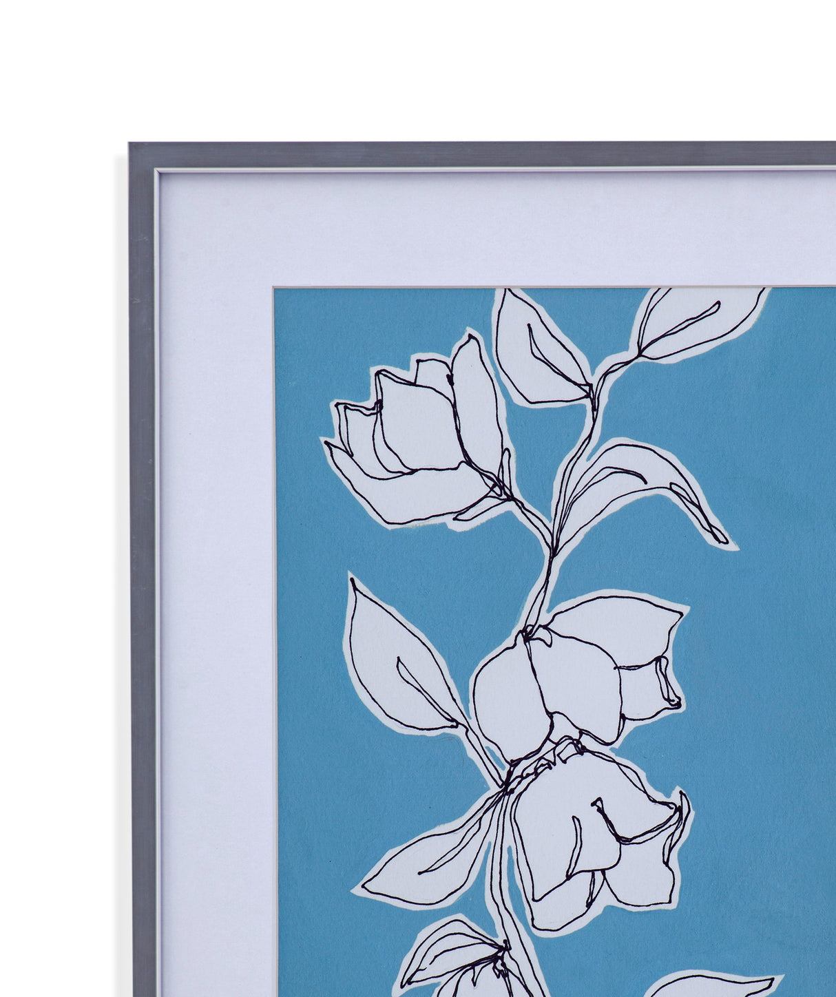 Botanic Drawing II Framed Print - Blue