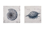 Shell II Canvas Art - Blue