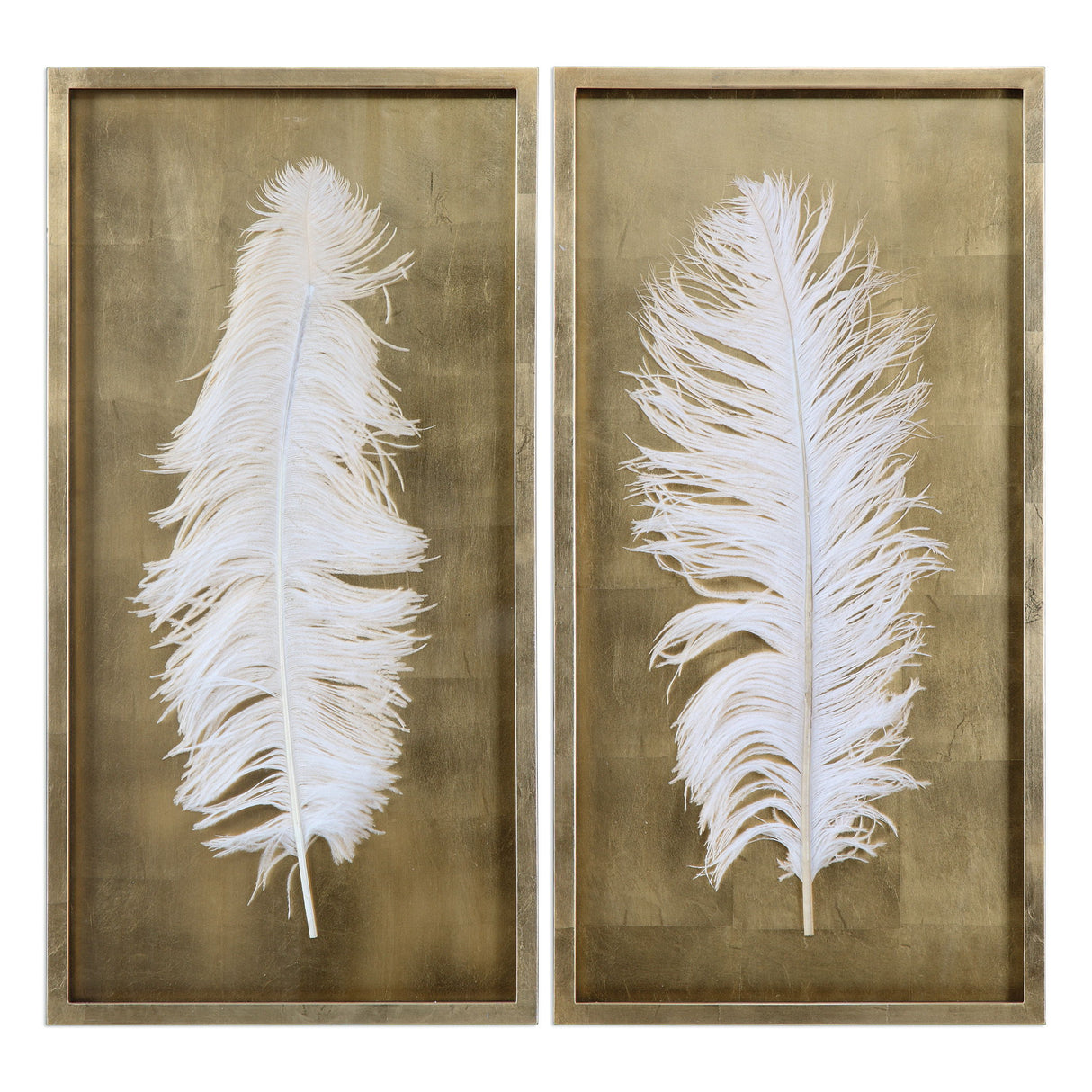 White Feathers - Shadow Box, Set Of 2 - Gold