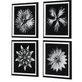 Contemporary Floret - Framed Prints, Set Of 4 - Black