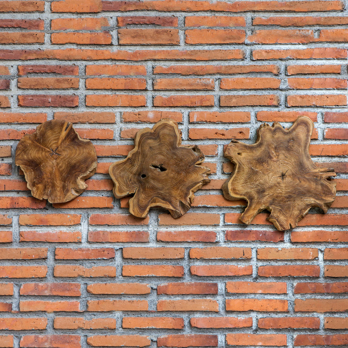 Kalani - Teak Wall Art Set Of 3 - Light Brown