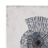 Shell II Canvas Art - Blue