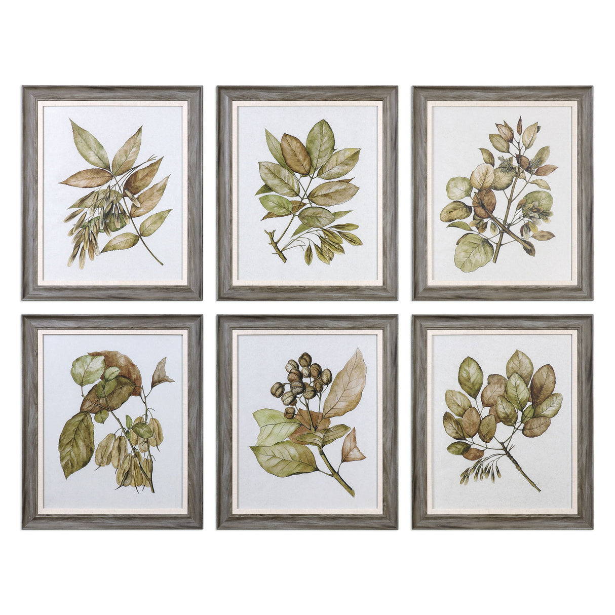 Seedlings - Framed Prints, Set Of 6 - Green