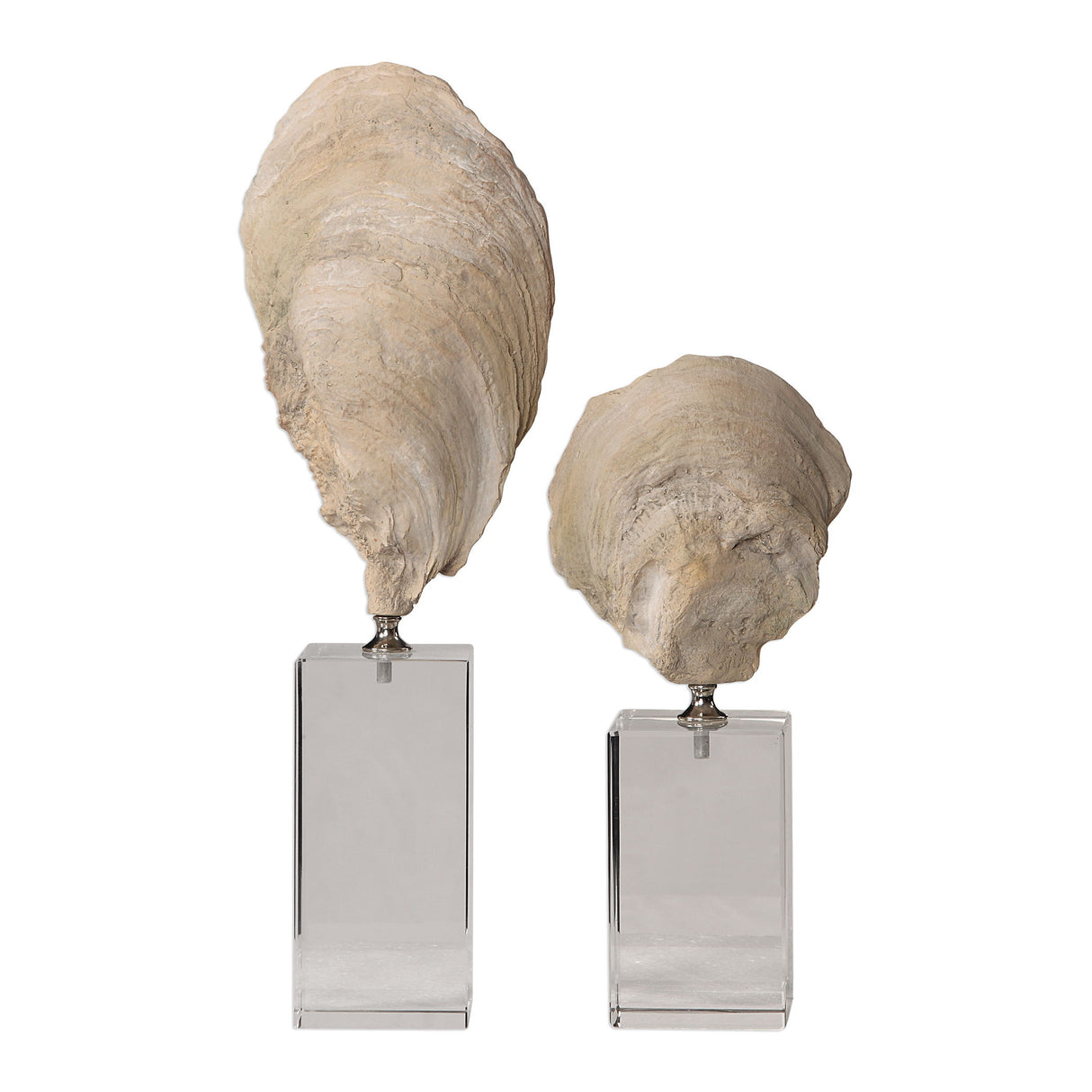 Oyster - Shell Sculptures, Set Of 2 - Beige