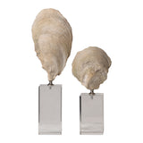 Oyster - Shell Sculptures, Set Of 2 - Beige