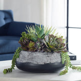 Yuma - Succulent Centerpiece - Gray