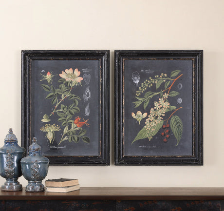Midnight Botanicals - Wall Art, Set Of 2 - Black