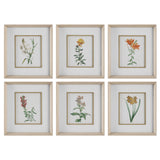 Classic Botanicals - Framed Prints (Set of 6) - Green