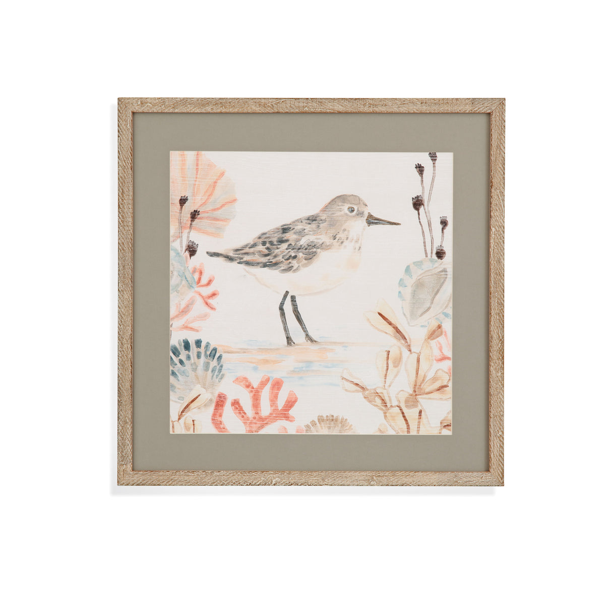 Shell Peppers I - Framed Print - White