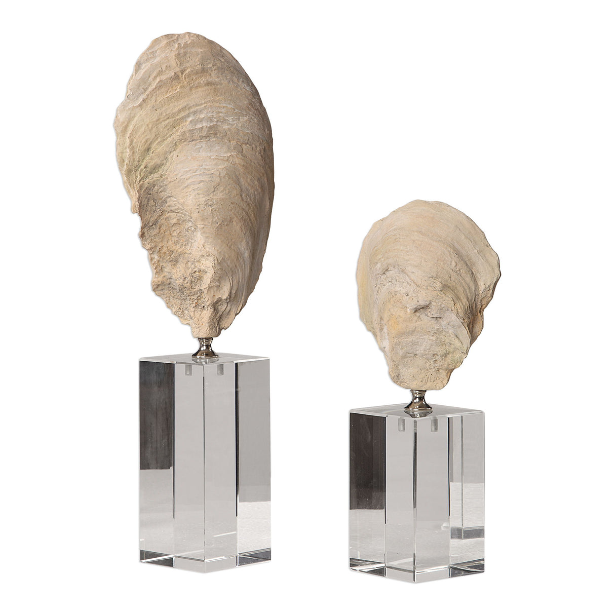 Oyster - Shell Sculptures, Set Of 2 - Beige