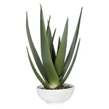 Evarado - Aloe Planter - White