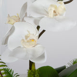 Transcend - Orchid Centerpiece - Yellow