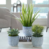 Puebla - Greenery In Blue & White Pots, Set Of 3 - Green