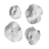Sea Coral - Wall Art, Set Of 4 - White