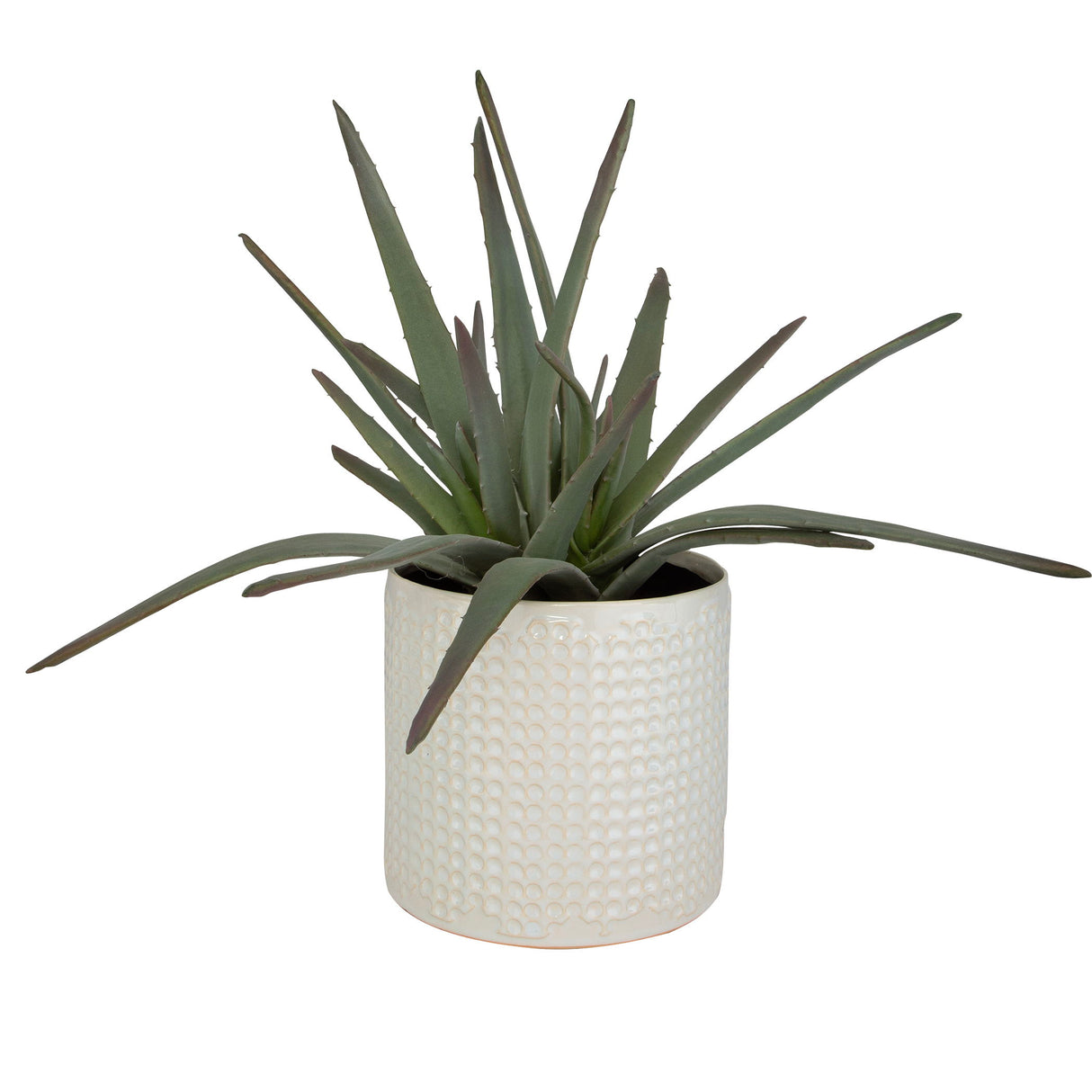 Taos - Aloe Centerpiece - Pearl Silver