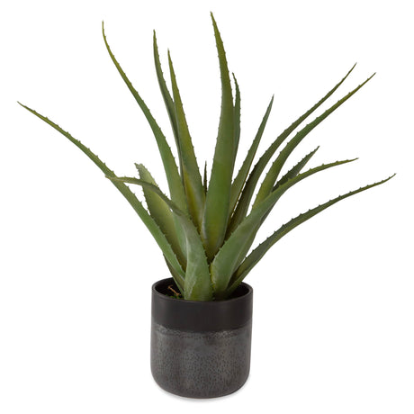 Tucson - Aloe Planter - Black