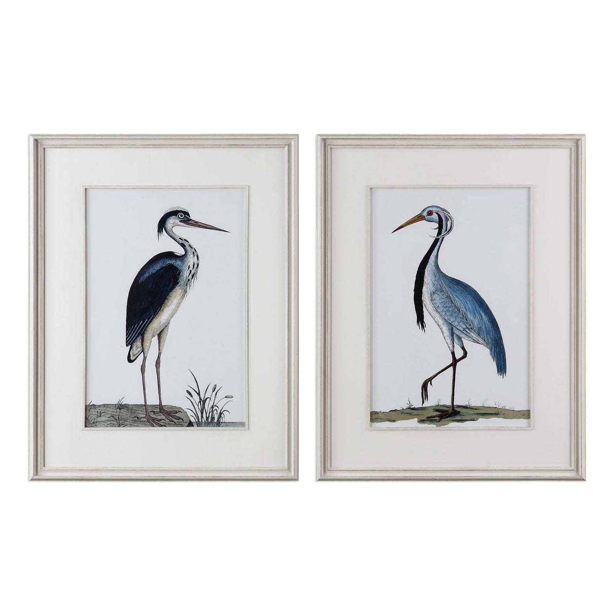 Shore Birds - Framed Prints, Set Of 2 - Black