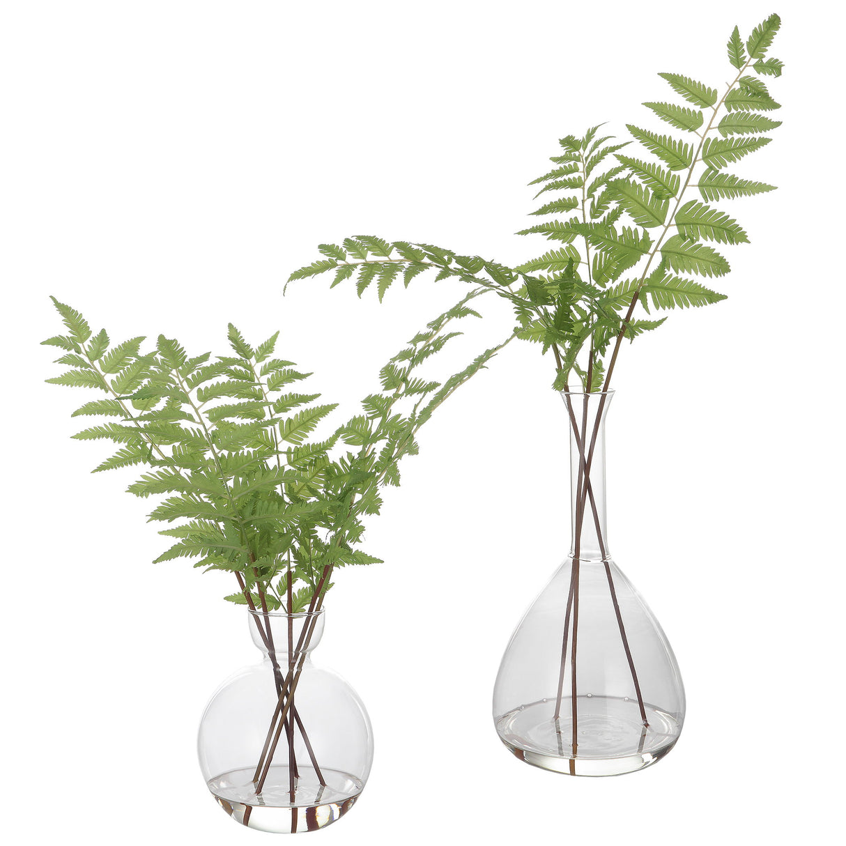 Country - Ferns (Set of 2)