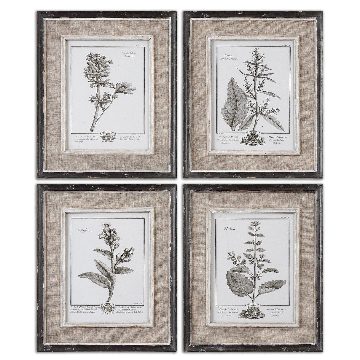 Casual Grey Study - Framed Art Set Of 4 - Beige