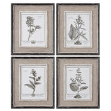 Casual Grey Study - Framed Art Set Of 4 - Beige