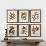 Seedlings - Framed Prints, Set Of 6 - Green