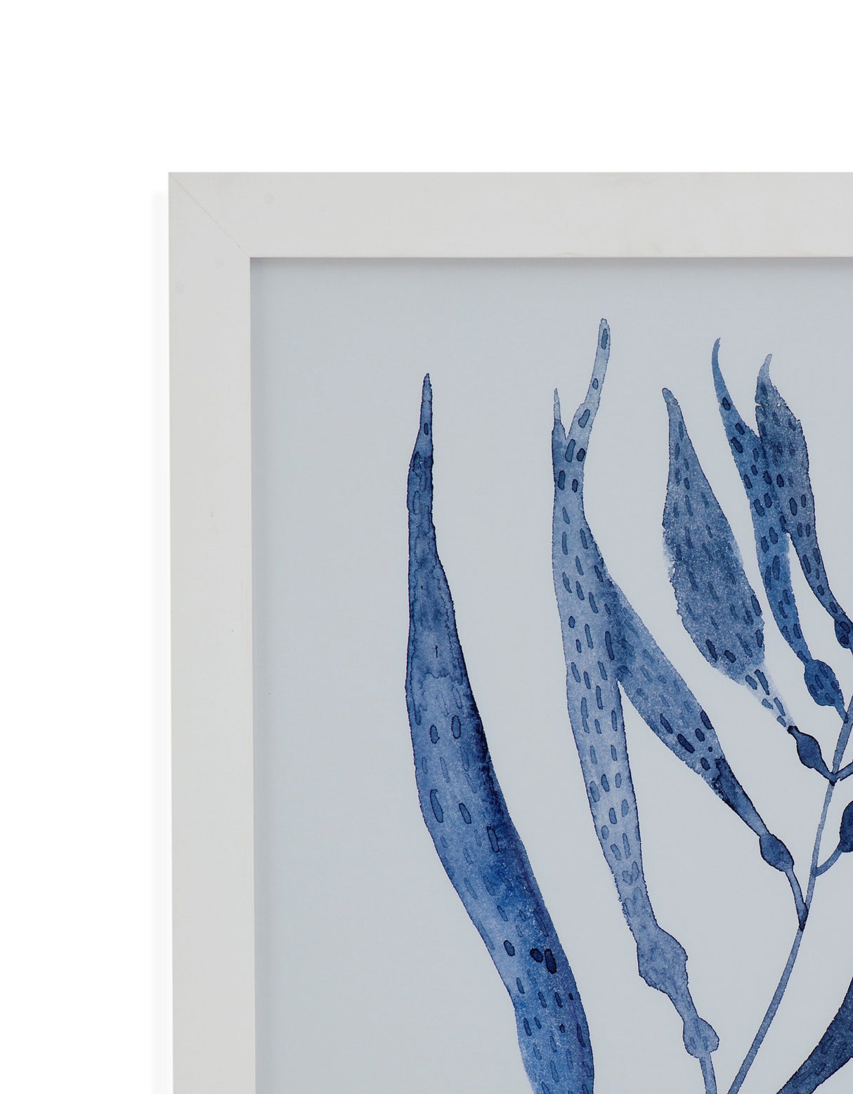 Seaweed Under Water III Framed Print - Blue